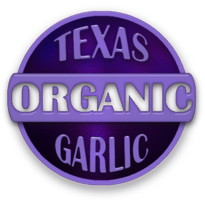 Organic garlic logo